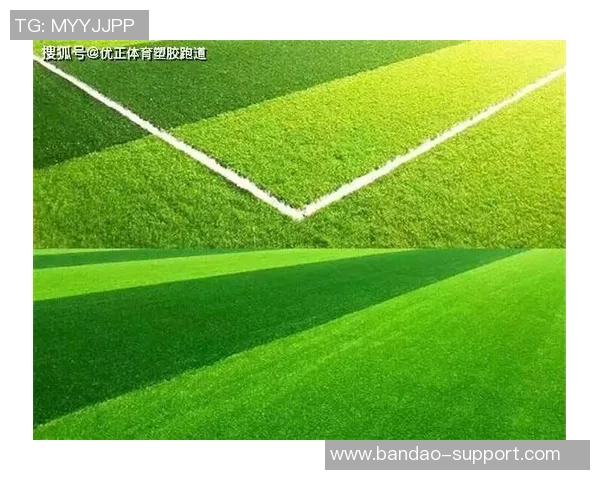 足球场天然草造价分析及影响因素探讨与预算建议